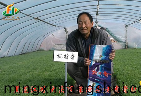 大(da)慶-肇源縣-用戶迴訪視頻