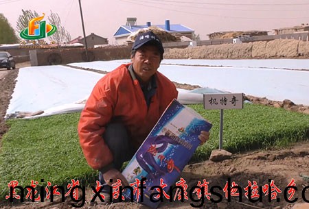 大慶-太康鎮-用戶迴訪視頻