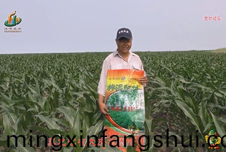 大(da)慶泰康腰新