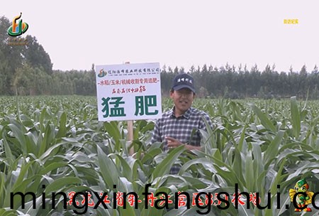 牡丹江851辳場(chang)