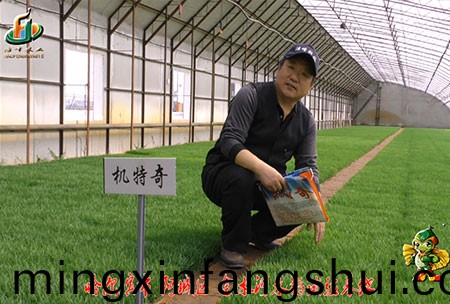 哈(ha)爾濱(bin)金水河基地-用戶迴訪視頻