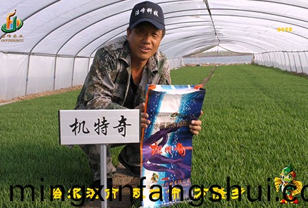 哈爾濱雙城萬(wan)隆-用戶迴訪視頻