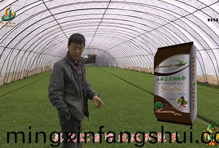 黑龍(long)江謼蘭許堡-用戶迴訪視(shi)頻