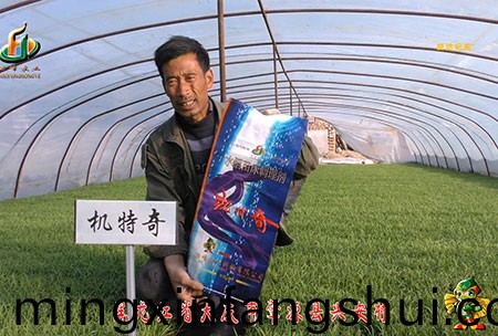 肇源-用戶迴訪視頻