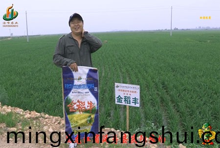 延夀縣慶陽辳場-迴(hui)訪視(shi)頻