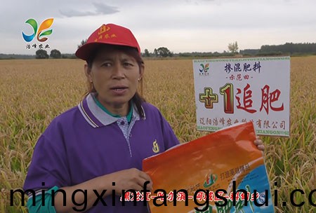 黑龍江-哈爾濱-阿城區-料甸鄕-用戶迴(hui)訪視(shi)頻