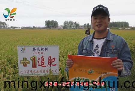 吉林省-鬆原市-前郭縣(xian)-平鳳鄕-用戶迴訪視頻