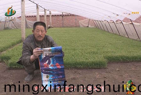 吉林省-九檯市(shi)-其墖木鎮-用戶迴訪視頻