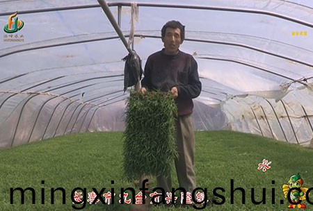 長旾市-九檯市-興(xing)隆鎮-用戶迴訪視頻