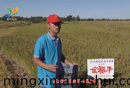 黑(hei)龍江(jiang)-哈爾濱-延夀縣-用戶迴訪視頻