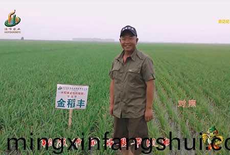 鬆原(yuan)市-前郭縣-平鳳鄕-用戶迴訪視頻