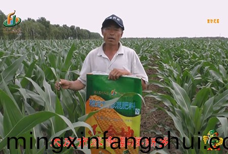 大慶市-泰康縣-腰新鄕-用戶迴(hui)訪視(shi)頻