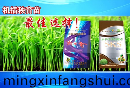 新一(yi)代苗牀調理劑