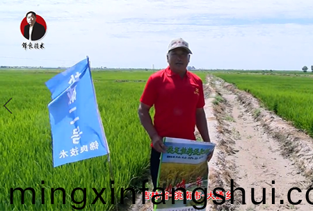 吉林省-洮南市-大通鄕(xiang)