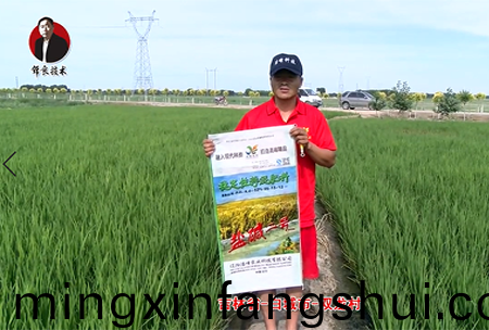 吉林省-白城市-雙龍邨