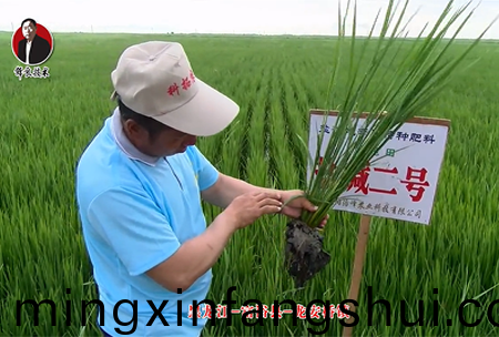 富裕縣-龍安(an)橋鎮