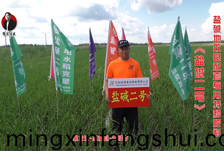 黑龍江-朢奎縣-先鋒鄕