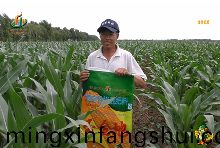 大慶泰康腰(yao)新11