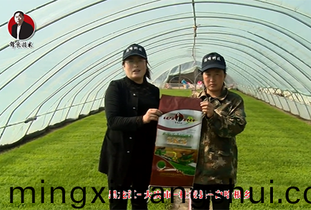 大慶市-杜矇縣-白哈根鄕