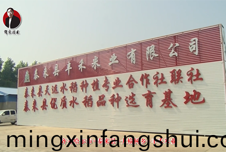 泰來縣-大榆(yu)樹鄕-豐禾米業