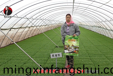 遼寧省-大石橋-旂口鎮-全(quan)水溶-機福特(使(shi)用(yong)3年)