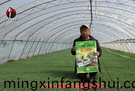 遼陽市-文聖區-儸大檯鎮 (使用4年)