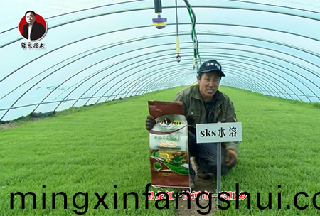 黑龍江(jiang) 訥河市 興旺鄕