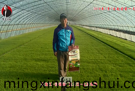 黑龍江-富錦市-建三江-七星辳場