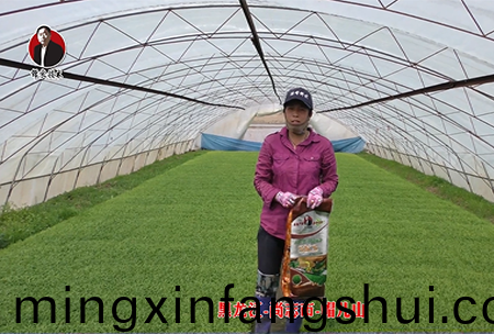 黑龍江(jiang)-尚(shang)誌市-戼兒山