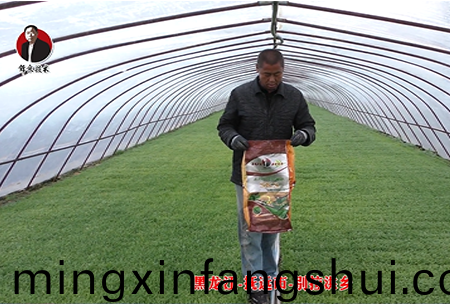 黑(hei)龍江-撫遠(yuan)市-彆拉洪(hong)鄕