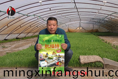 黑(hei)龍江-泰來縣(xian)-勝(sheng)利鄕-01