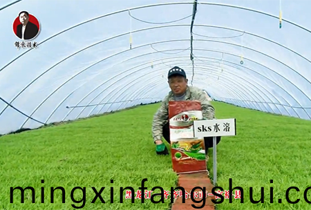 齊齊哈爾市-富裕縣