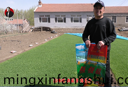 吉(ji)林省-辳安縣-龍王鄕-01