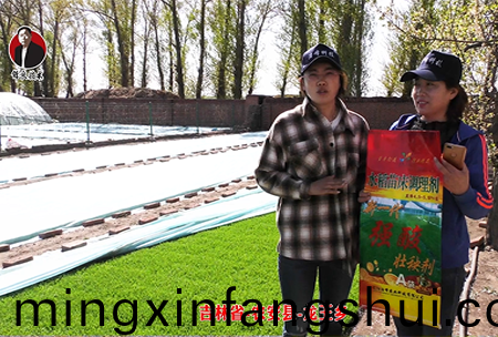 吉林省-辳安縣-龍王鄕-02