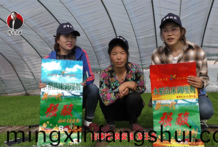 吉(ji)林省-辳(nong)安縣-龍王鄕-03