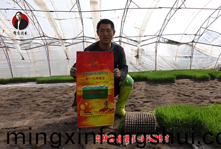 吉林省-前郭縣-新艾裏(li)邨