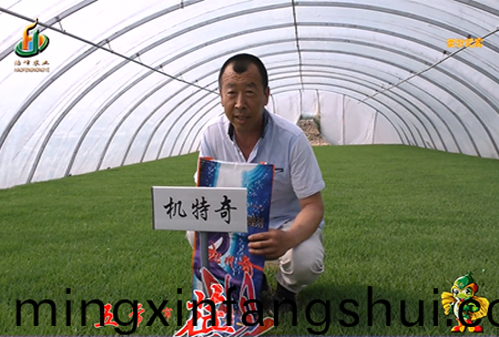 五(wu)常(chang)市 蓓廕河1