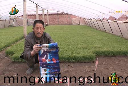 吉林其墖(ta)木鎮1