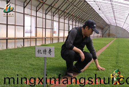 哈爾濱金水河基地0