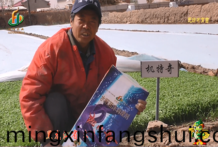 大慶 太(tai)康鎮1