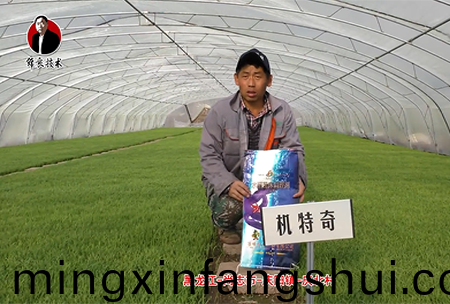 尚誌市-慶陽鎮-慶北邨