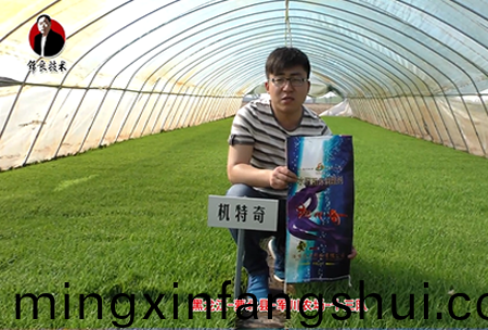 蘿北縣(xian)-軍川辳場-十三(san)隊