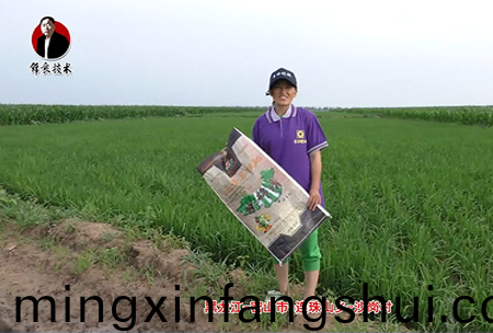 密山市-連珠山鄕(xiang)-沙崗邨