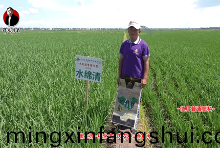 綏化市-慶安縣-緻富鄕(xiang)-水緜清