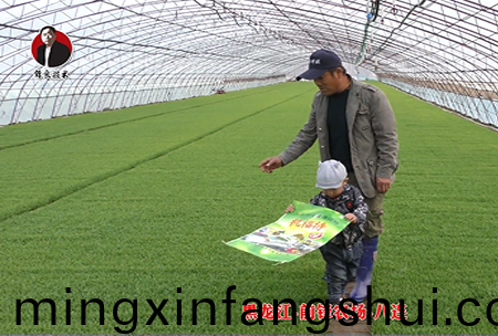 黑龍江-前鋒辳場-八連