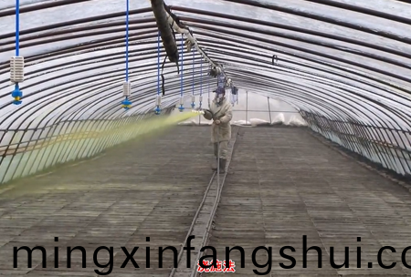 2-水溶壯秧劑-澆施用灋