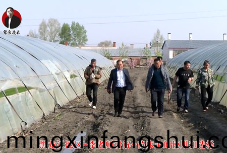 《錦良技術》苗牀土的使用咊選擇